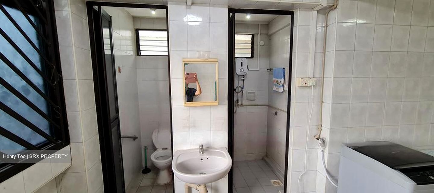 Blk 169 Stirling View (Queenstown), HDB 3 Rooms #453571231
